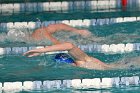 Swimming vs Babson  Wheaton College Swimming vs Babson College. - Photo By: KEITH NORDSTROM : Wheaton, Swimming, Babson